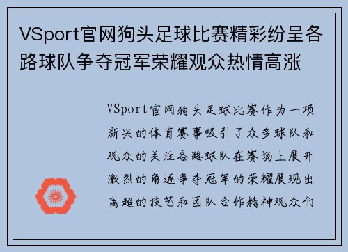 VSport官网狗头足球比赛精彩纷呈各路球队争夺冠军荣耀观众热情高涨