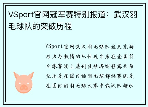 VSport官网冠军赛特别报道：武汉羽毛球队的突破历程
