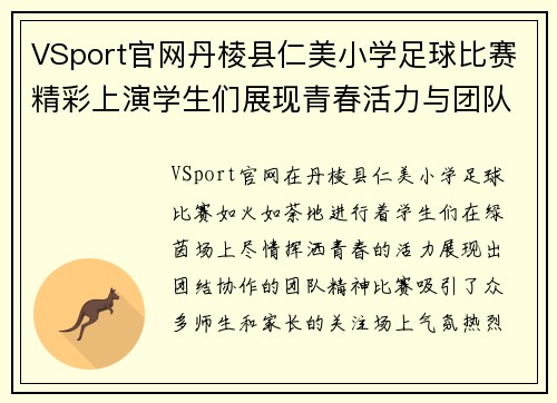 VSport官网丹棱县仁美小学足球比赛精彩上演学生们展现青春活力与团队精神
